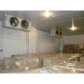 Sala de almacenamiento en frío de alta calidad, Sala de almacenamiento en frío para la carne